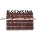 Fish food Frozen Bloodworm Fish food